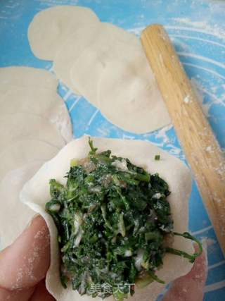 #春食野菜香#荠菜蒸饺的做法步骤:14