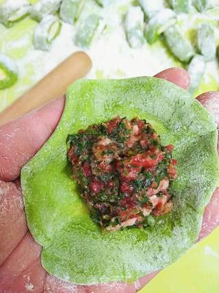 #春食野菜香#餐桌上的春天-荠菜牛肉饺子的做法步骤:24