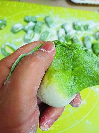 #春食野菜香#餐桌上的春天-荠菜牛肉饺子的做法步骤:26