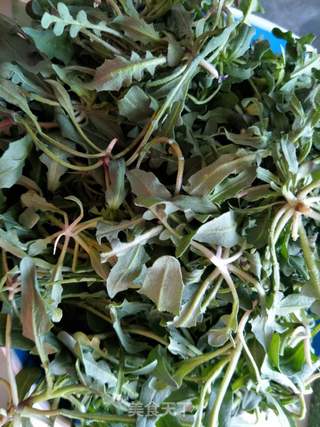 #春食野菜香#荠菜饺子的做法步骤:2