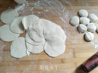 #春食野菜香#荠菜饺子的做法步骤:7