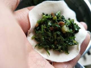 #春食野菜香#荠菜饺子的做法步骤:8