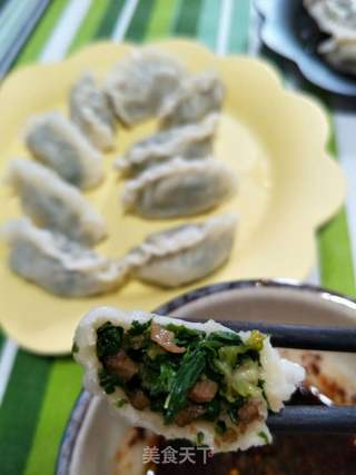 #春食野菜香#荠菜饺子的做法步骤:11