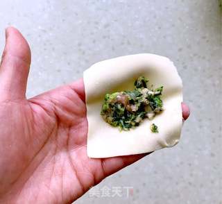 #春食野菜香# 荠菜三鲜馄饨的做法步骤:6