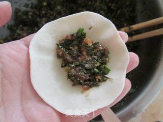 #春食野菜香#美味野菜--荠菜鲜肉饺的做法步骤:7