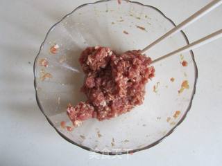 青南瓜鲜肉包的做法步骤:6
