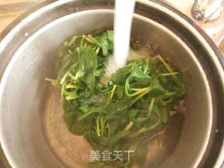 #春食野菜香#蒜蓉马兰头的做法步骤:4