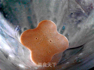菠萝蜜核银耳露的做法步骤:10