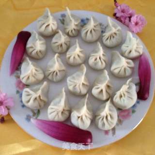 野生刺儿菜饺子的做法步骤：4