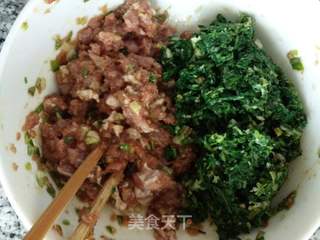 #春食野菜香#荠菜肉馄饨的做法步骤:3