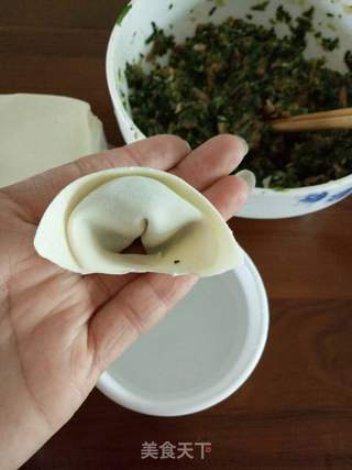 #春食野菜香#荠菜肉馄饨的做法步骤:5
