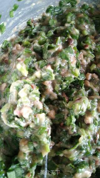 #春食野菜香#野韭菜猪肉馅饺子鲜掉眉毛的做法步骤:11