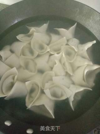 #春食野菜香#荠菜肉馄饨的做法步骤:7