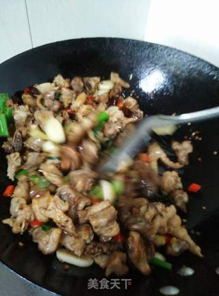 双椒麻辣鸡的做法步骤:15