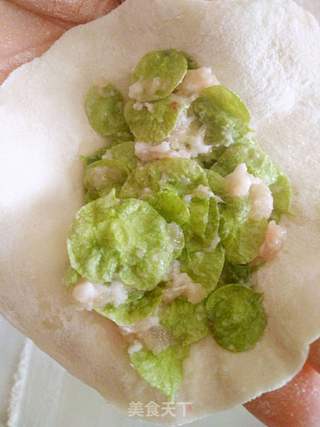 #春食野菜香#榆钱水饺的做法步骤:7