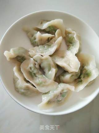 #春食野菜香#榆钱水饺的做法步骤:11