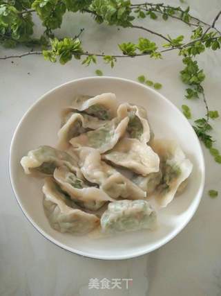 ＃春食野菜香＃榆钱水饺的做法步骤：14