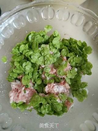#春食野菜香#榆钱水饺的做法步骤:4