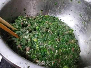 好吃不过饺子,用神仙草做的饺子你吃过吗?的做法步骤:2