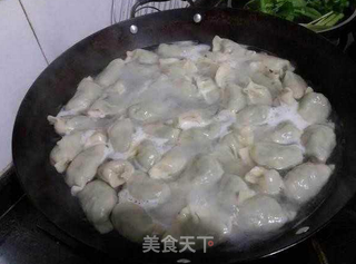 好吃不过饺子,用神仙草做的饺子你吃过吗?的做法步骤:6