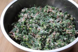 #春食野菜香#荠菜猪肉饺的做法步骤:4