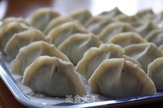 #春食野菜香#荠菜猪肉饺的做法步骤:5