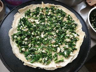 #春食野菜香#滕州荠菜豆腐菜煎饼的做法步骤:7