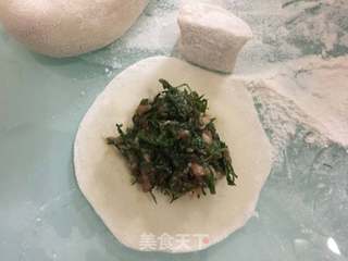 #春食野菜香#茴香饺子的做法步骤:11