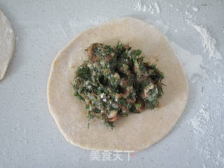 #春食野菜香#杂粮茴香鲜肉饼的做法步骤:7