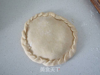 #春食野菜香#杂粮茴香鲜肉饼的做法步骤:9
