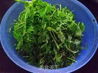 荠菜猪肉水饺的做法步骤:6