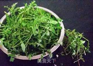 荠菜猪肉水饺的做法步骤:2