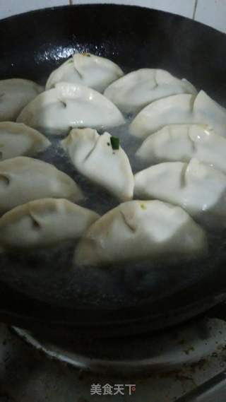 水煎饺的做法步骤：2