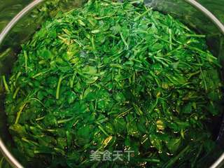 #春食野菜香#苜蓿包子的做法步骤:4