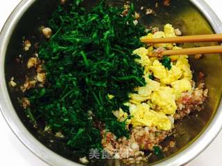 #春食野菜香#苜蓿包子的做法步骤:9