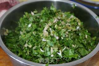 #春食野菜香#蒲公英馅水饺的做法步骤：3
