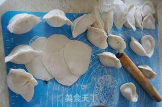 #春食野菜香#蒲公英馅水饺的做法步骤：10