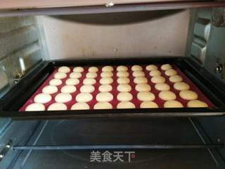 #第四届烘焙大赛暨是爱吃节#鸡蛋小饼干的做法步骤:9