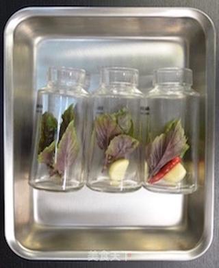CoCoLc的私菜食谱经-- 红罗勒 ,辣椒 ,蒜橄榄油的做法步骤:11