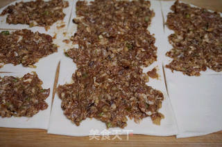 绝对解馋的千层肉饼的做法步骤:7
