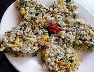 #春食野菜香#蒲公英鸡蛋炒饭的做法步骤:15