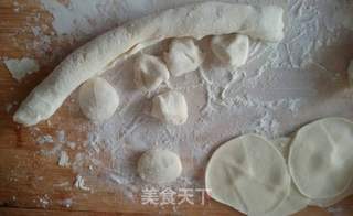#春食野菜香# 蒲公英猪肉饺子的做法步骤:12