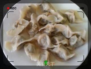#春食野菜香# 蒲公英猪肉饺子的做法步骤:17