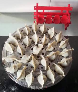 #春食野菜香# 蒲公英猪肉饺子的做法步骤:15