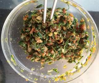 #春食野菜香# 蒲公英猪肉饺子的做法步骤:11