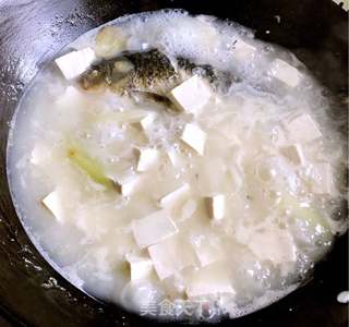 鲫鱼豆腐汤的做法步骤:6