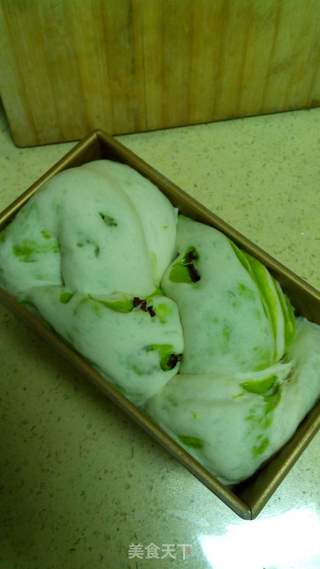 #第四届烘焙大赛暨是爱吃节#菠菜双色吐司的做法步骤:19