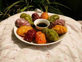 蔬菜煎饺的做法步骤:23