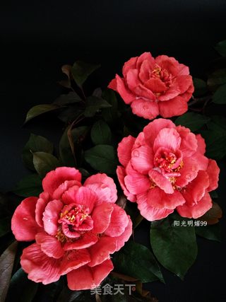 #ACA第四届烘焙大赛#造色情怀 国色天香【立体饼干】的做法步骤:28