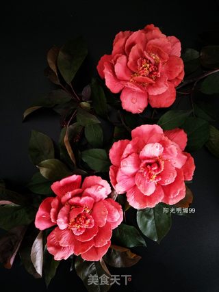 #ACA第四届烘焙大赛#造色情怀 国色天香【立体饼干】的做法步骤:21